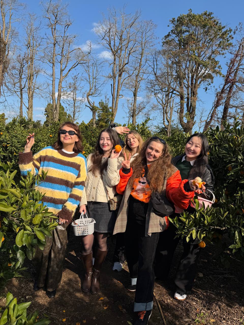 Tour Image